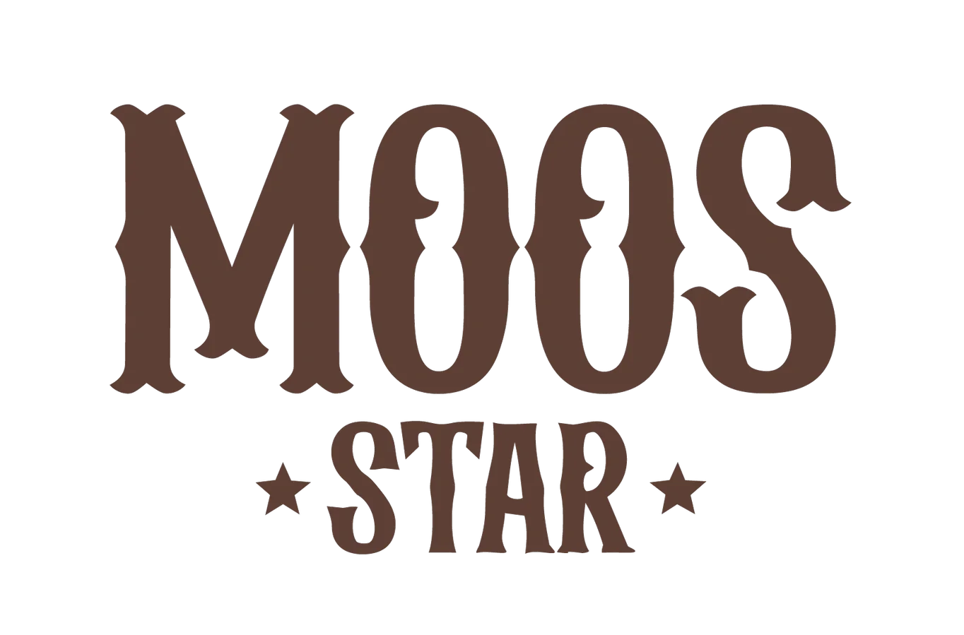 شعار من شركاء ستورم